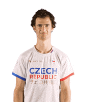 Czech Republic Sport GIF by Český olympijský tým