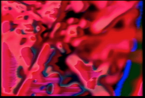 Video Art GIF by cskonopka