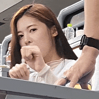 K-Pop Baseball GIF