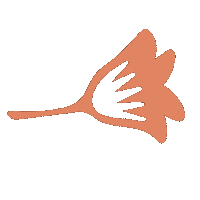 Cute Flower Sticker