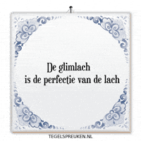 Nl Wijsheid GIF by Tegelspreuken.nl