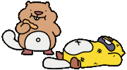 Fight Fighting Sticker