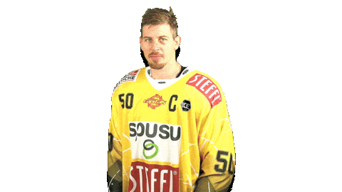 Hockey Mask Sticker by Vienna Capitals