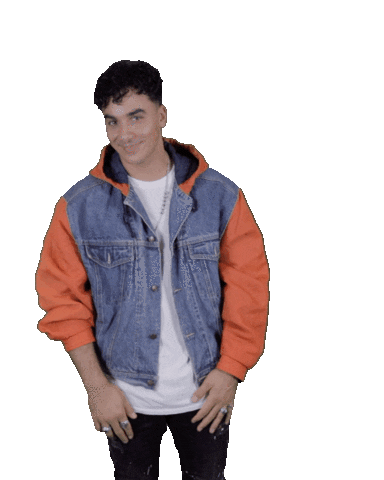 jordystuif giphyupload timor steffens timor world Sticker