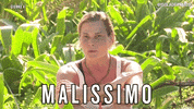 ventura malissimo GIF by Isola dei Famosi