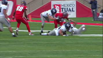 devonanderson GIF by USUAthletics
