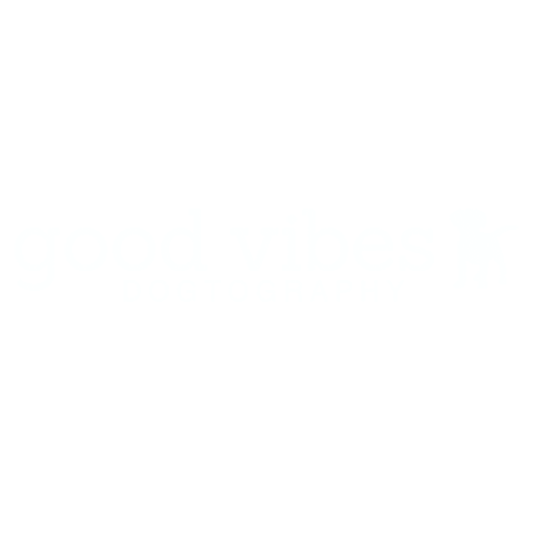 GoodVibesDogtography giphyupload good vibes dogtography Sticker