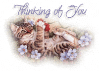Thinking Of You GIF