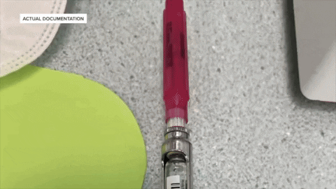 7NewsWKBW giphyupload GIF