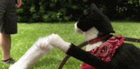 high five well done GIF by Team Coco
