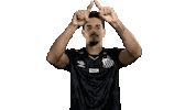 Var Sticker by Santos Futebol Clube