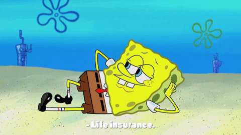 season 10 episode 6 GIF by SpongeBob SquarePants
