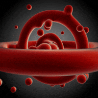 Art Animation GIF by makio135