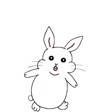 jinsil giphyupload 토끼 궁금 궁금해 Sticker