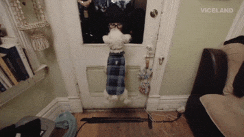 jumping separation anxiety GIF by FLOPHOUSE