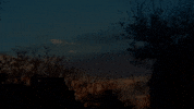 Breakout Symposium GIF by UnionDocs
