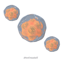 reviveacelltherapeutics stem cells stemcells reviveacell revive a cell Sticker
