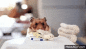 sensual GIF