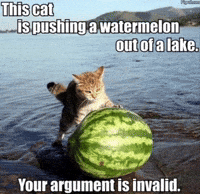 Lake Youre Wrong GIF