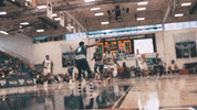 College Sports Sport GIF by FAU Athletics