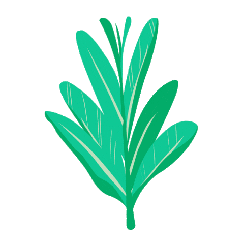 Repurpose giphyupload nature green leaf Sticker