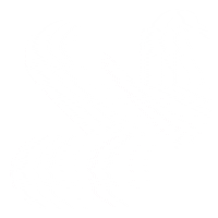 Surprise Excite Sticker by York University