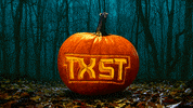 San Marcos Halloween GIF by Texas State University