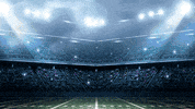 ninja turtles football GIF by Teenage Mutant Ninja Turtles
