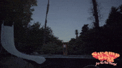 GIF by Magnolia Pictures