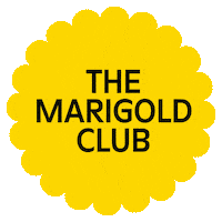 Houston Marigold Sticker by Goodnight Hospitality