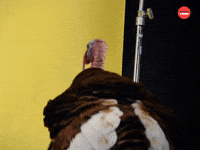 Thanksgiving Turkey GIF by BuzzFeed