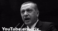 Rte Reis GIF