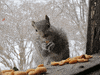 eat GIF