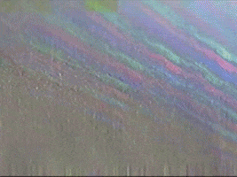 Footage Oaf GIF by jorgemariozuleta