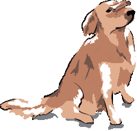 Fetch Golden Retriever Sticker by Vera Bradley