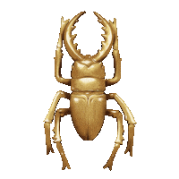 Gold Jewelry Sticker