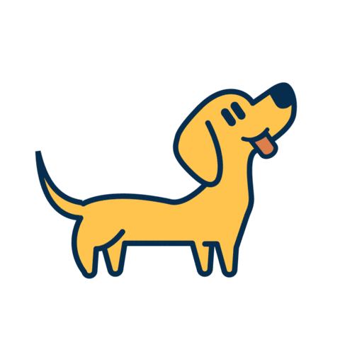 Dog Pets Sticker by Snap Finance