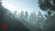 Good Day Morning GIF by Assassin's Creed