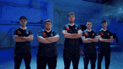 Counter Strike Team GIF by BLAST