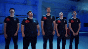 Counter Strike Team GIF by BLAST