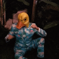 Bier Mallorca Party GIF by Ingo ohne Flamingo