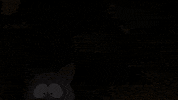 eric cartman kitty GIF by South Park 