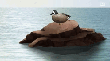 season 4 sport GIF by Bleacher Report