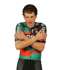 Bora Freezing Sticker by BORA-hansgrohe