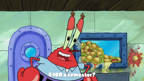 season 9 lost in bikini bottom GIF by SpongeBob SquarePants