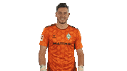 Werder Bremen Love Sticker by Bundesliga