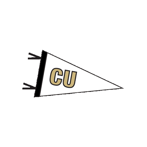 College Life Uccs Sticker by CU Online