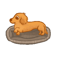 chloeandlala dachshund sausage dog wiener dog 臘腸狗 Sticker