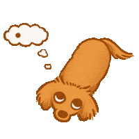 Confused Sausage Dog Sticker