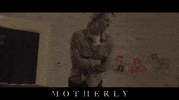 Movie Film GIF by Raven Banner Entertainment